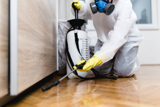 Professional Pest Control in Trappe, MD