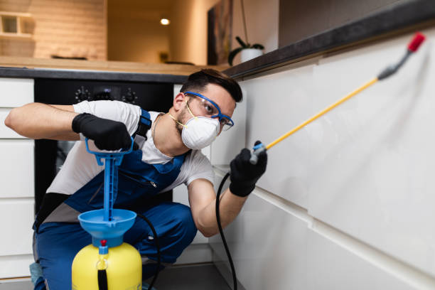 Best Best Pest Control Companies  in Trappe, MD