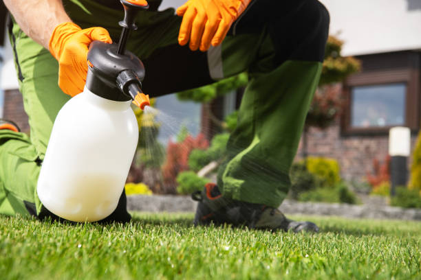 Best Wasp Removal Services  in Trappe, MD