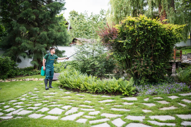 Best Ant Control Services  in Trappe, MD