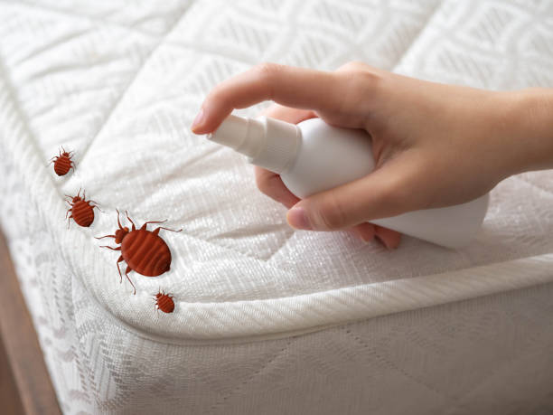 Best Pest Removal Services  in Trappe, MD