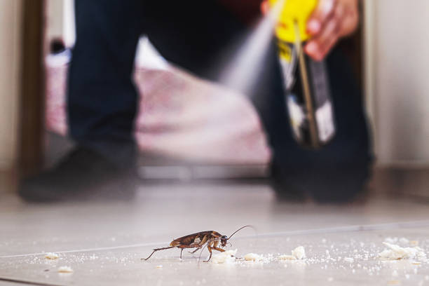 Best Cockroach Control Services  in Trappe, MD