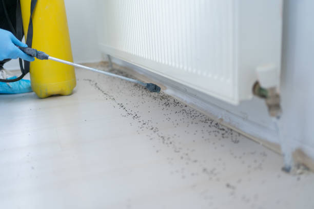 Best Termite Control Services  in Trappe, MD